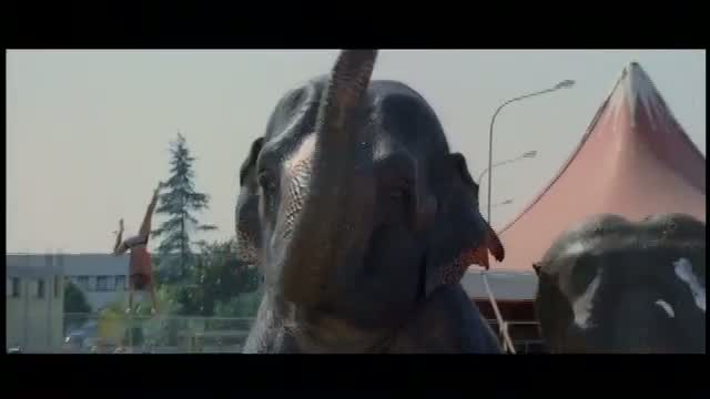 La Tigre E La Neve 2. Fragmanı