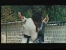 Long quan / Dragon Fist