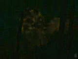 9 Teaser